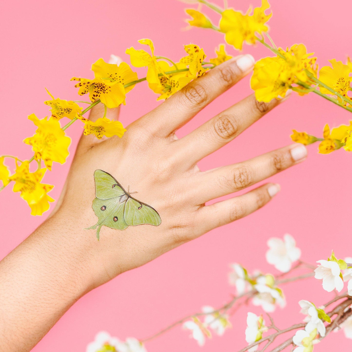 Tiny Butterfly Tattoo Tin